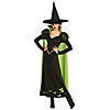 Women's The Wizard of Oz&#8482; Wicked Witch Of The West Costume Image 1