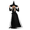 Women's Wicked Witch Costume - Large Image 1