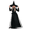 Women's Wicked Witch Costume Image 1