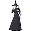 Women's Wicked Witch Deluxe Costume - Extra Large Image 1