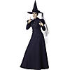 Women's Wicked Witch Deluxe Costume Image 1