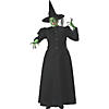 Women's Wicked Witch Plus Size Costume - 2X Image 1