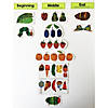 World of Eric Carle The Very Hungry Caterpillar&#8482; Storytelling Magnets - 14 Pc. Image 4