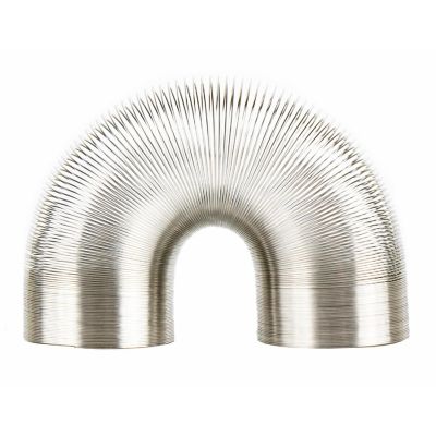 Worlds Smallest Slinky Image 1