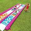 Wow Double Lane Slide Image 3