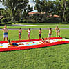 Wow Pineapple Lawn Slide Image 2