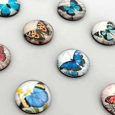 Wrapables Butterflies Crystal Glass Magnets, Refrigerator Magnets (Set of 12) Image 2