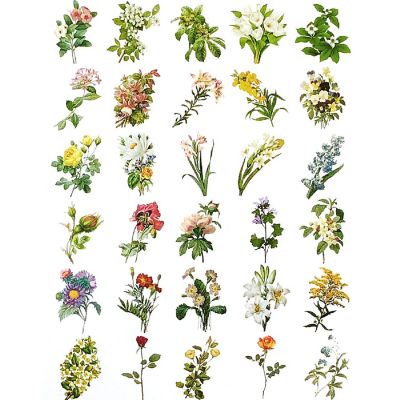 Wrapables Decorative Scrapbooking Washi Stickers (60 pcs), Floral Image 1