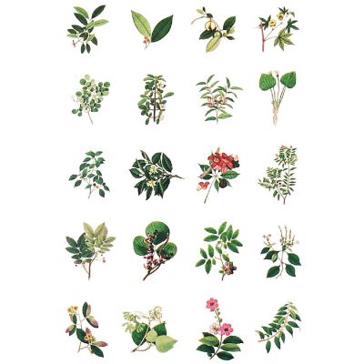 Wrapables Decorative Scrapbooking Washi Stickers (60 pcs), Greenery Image 1