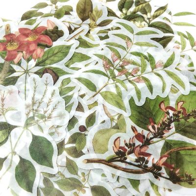 Wrapables Decorative Scrapbooking Washi Stickers (60 pcs), Greenery Image 2