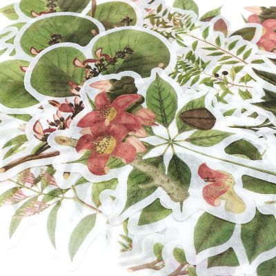 Wrapables Decorative Scrapbooking Washi Stickers (60 pcs), Greenery Image 3