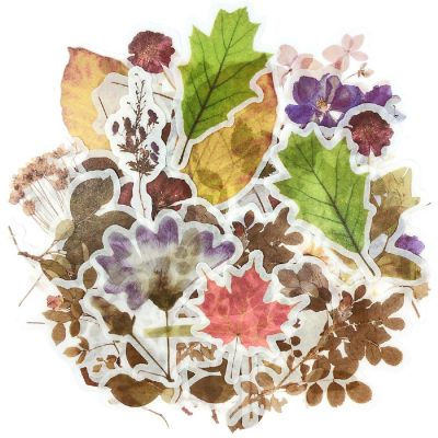 Wrapables Decorative Scrapbooking Washi Stickers (60 pcs), Posies Image 1
