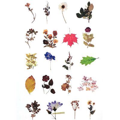 Wrapables Decorative Scrapbooking Washi Stickers (60 pcs), Posies Image 1