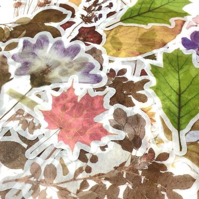 Wrapables Decorative Scrapbooking Washi Stickers (60 pcs), Posies Image 2