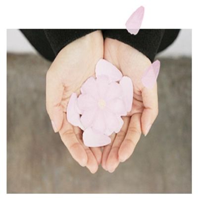 Wrapables Floral Sticky Notes Image 2