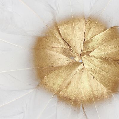 Wrapables Gold Dipped Feathers, Bohemian Decorations, White Image 2