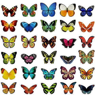 Wrapables Magnetic Butterfly Bookmarks, Page Marker, Foldable Butterfly Page Clips (30 pcs) Image 1