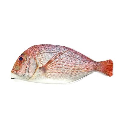 Wrapables Novelty Fish Style Pencil Case, Red Image 1
