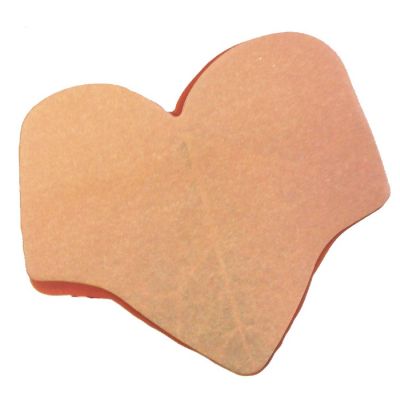 Wrapables Red Tree Leaf Sticky Notes Image 1