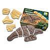 Yellow Door Dig and Discover - Dinosaur Pack Image 3