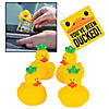 You&#8217;ve Been Ducked Pineapple Kit for 12 Image 1