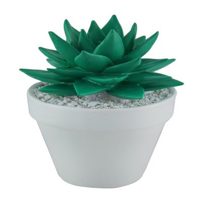 Zeckos Bright Green Mini Ceramic Succulent in White Round Planter Image 1