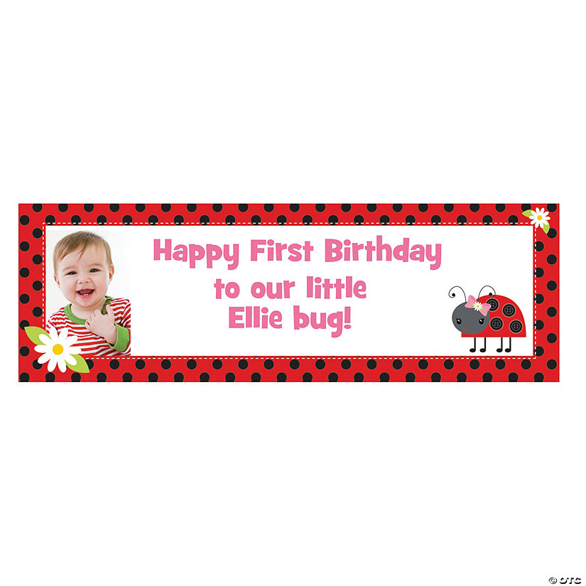 52&quot; x 17&quot; Ladybug Party Photo Custom Banner - Small Image