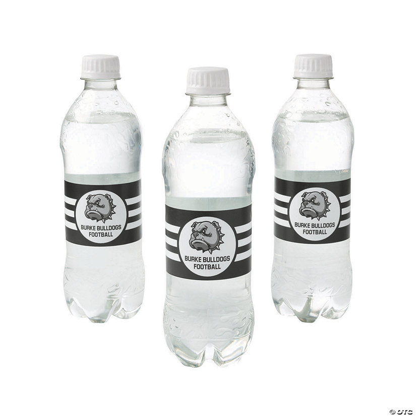 Bulk  50 Pc. Custom Photo Team Spirit Stripes Water Bottle Labels Image Thumbnail