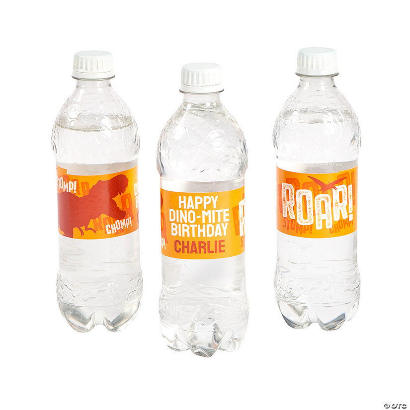 Bulk 50 Pc. Personalized Dino Dig Water Bottle Labels Image