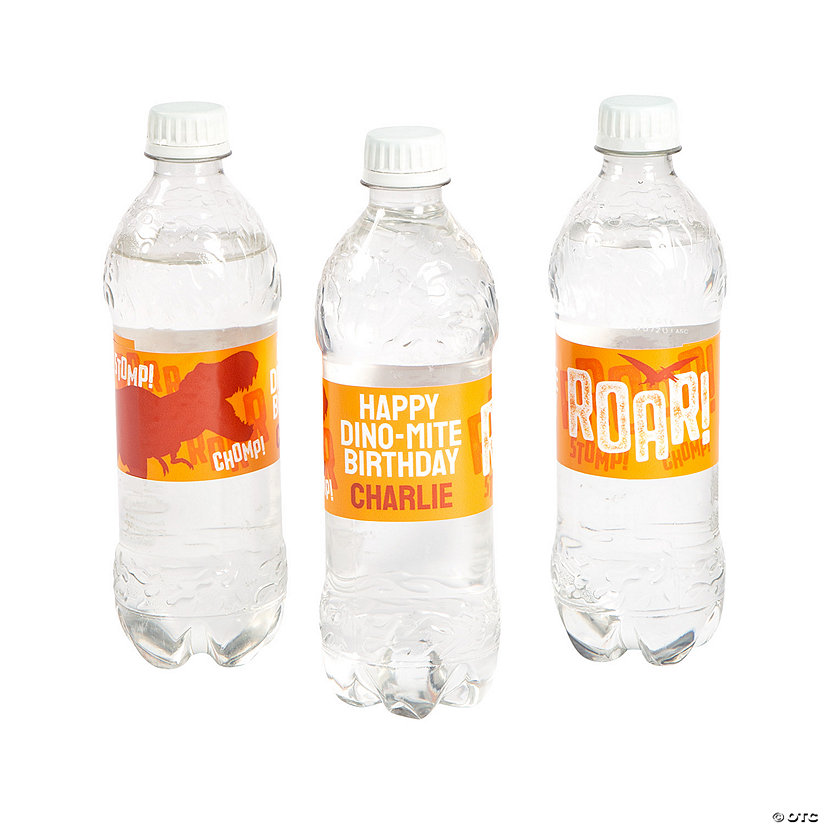 Bulk 50 Pc. Personalized Dino Dig Water Bottle Labels Discontinued