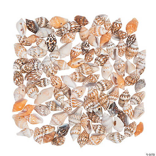 1 oz. Mini Shell Beads - 114 Pc.