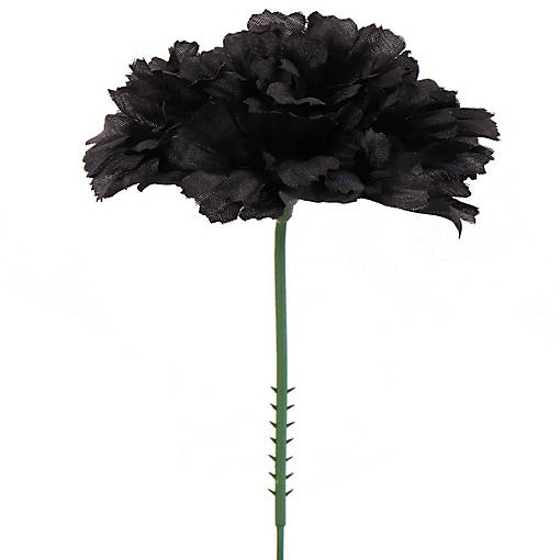 100-Count Black Silk Carnation Picks