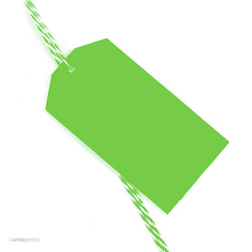 12PC Classic Tags Solid Blank Kiwi Green