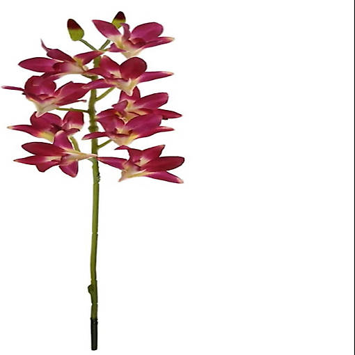 1pc 24" Dendrobium Spray Purple