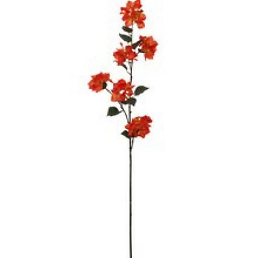 2-Pack: Orange Bougainvillea Spray