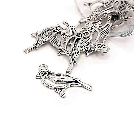 20 Pcs Silver Robin Bird Charms