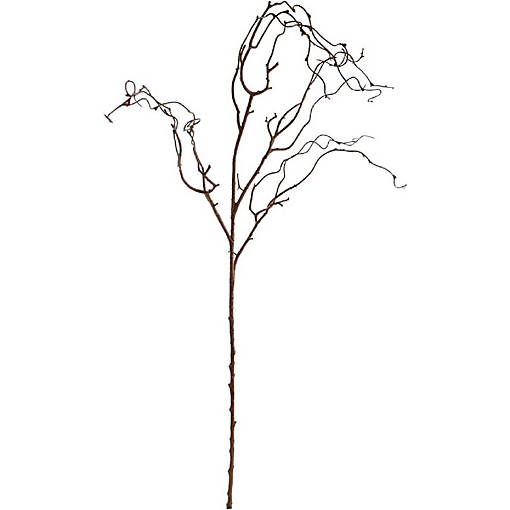 24-Pack: Natural Brown Twig Branch