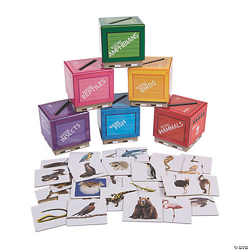 3" Animal Classifications Cardboard Sorting Boxes with Self-Checking Animal Cards