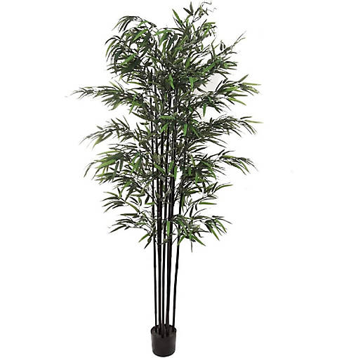 6ft Bamboo Tree in Black Pot