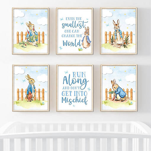 6Pcs Peter Rabbit Blue Change the World