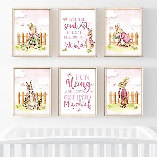 6Pcs Peter Rabbit Pink Change the World