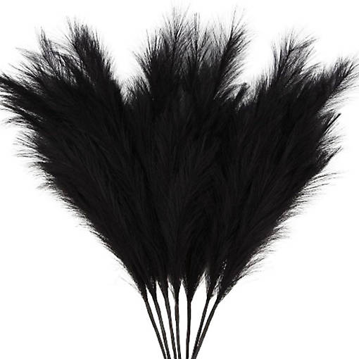 7-Pcs Black Pampas Grass