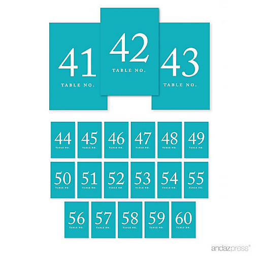 Aqua Table Numbers 41 60 4x6