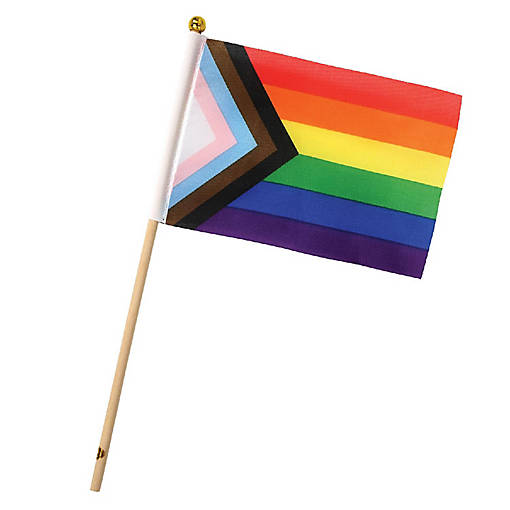 Beistle - Pkgd Pride Flags - 6 Pack