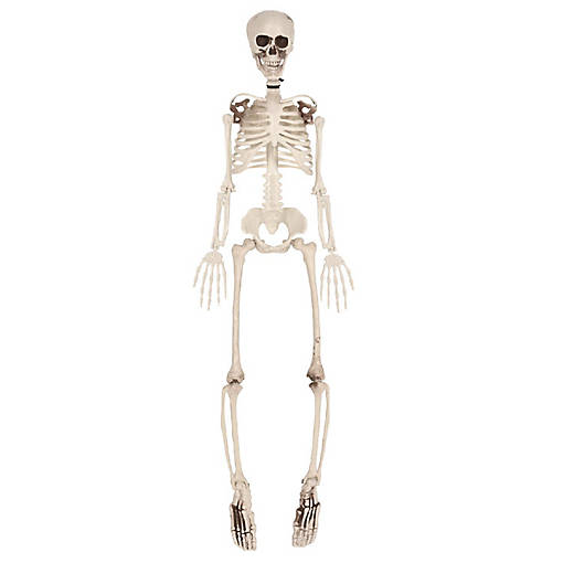 Beistle - Plastic Skeleton - 1 Pack
