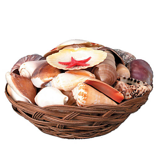 Beistle - Shell Basket - 6 Pack