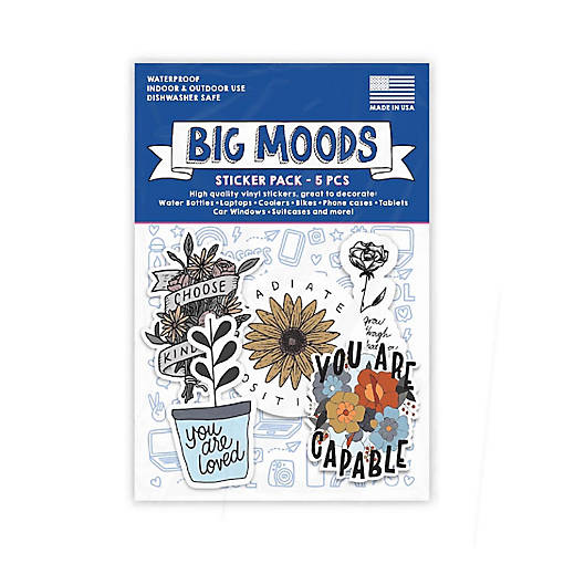 Big Moods Positivity Floral Sticker Pack 5pc