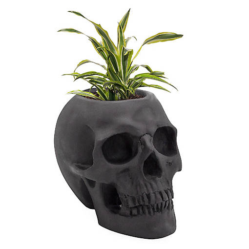 Black Skull Planter Pot, Horror Theme Decorative Mini Planter