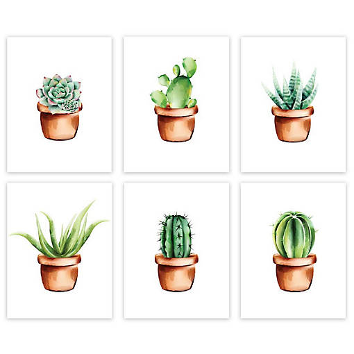 Boho Succulent Neutral Pot 6Pk 8.5x11in