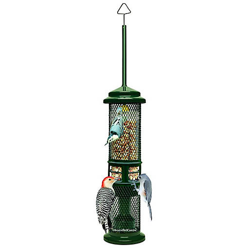 Brome Squirrel Buster Squirrel-Proof Bird Feeder for Nuts